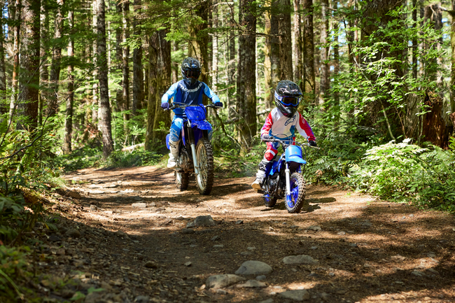 YAMAHA%20PW%2050%20PLANETE%20YAM%20RENNES.png