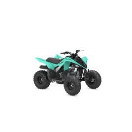 YAMAHA <b>YFM 110 RAPTOR 2WD</b> 2024 - 2025