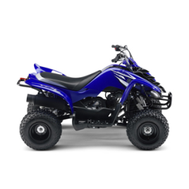 YAMAHA <b>YFM 50 RAPTOR 2WD</b> 2004 - 2009
