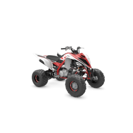 YAMAHA <b>YFM 700 RAPTOR SPECIAL EDITION 2WD</b> 2007 - 2025