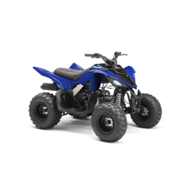 YAMAHA <b>YFM 90 RAPTOR 2WD</b> 2009 - 2022