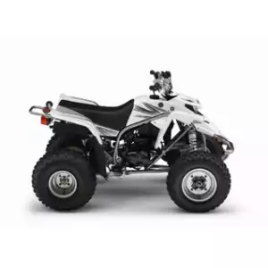 YAMAHA <b>YFS 200 BLASTER 2WD</b> 1990 - 2007