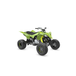 YAMAHA <b>YFZ 450 R SPECIAL EDITION 2WD</b> 2009 - 2025